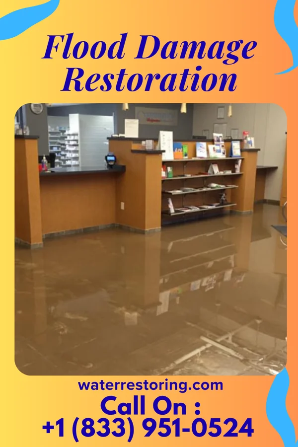Flood Damage Restoration in Davis City, IA