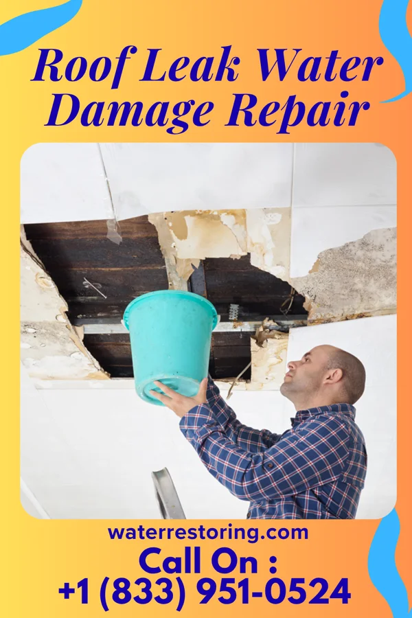 Roof Leak Water Damage Repair in Davis City, IA