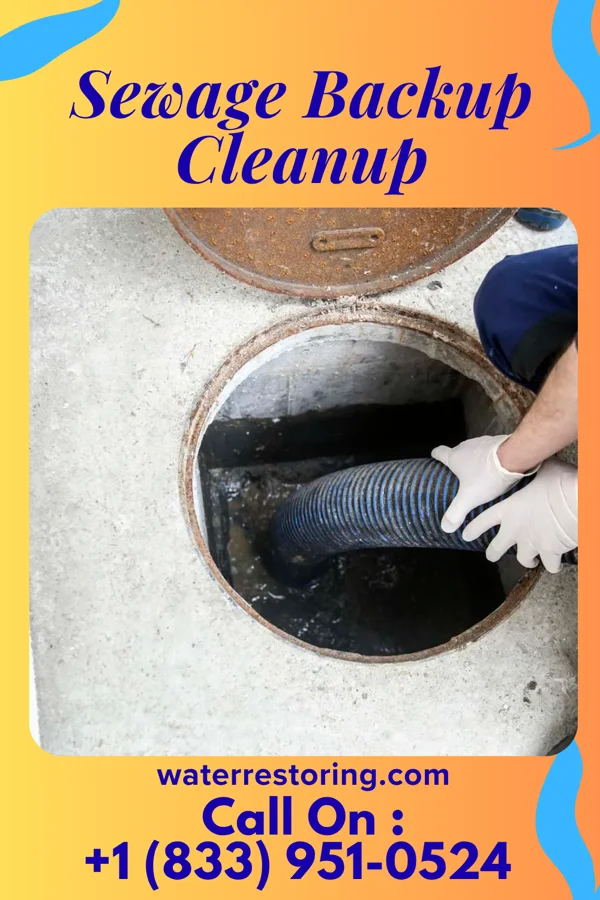 Sewage Backup Cleanup in Davis City, IA