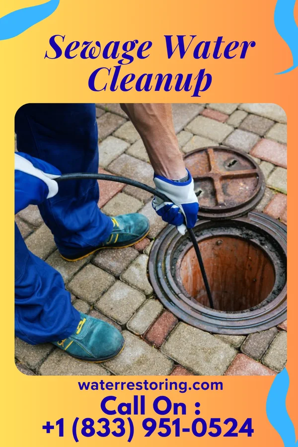 Sewage Water Cleanup in Davis City, IA